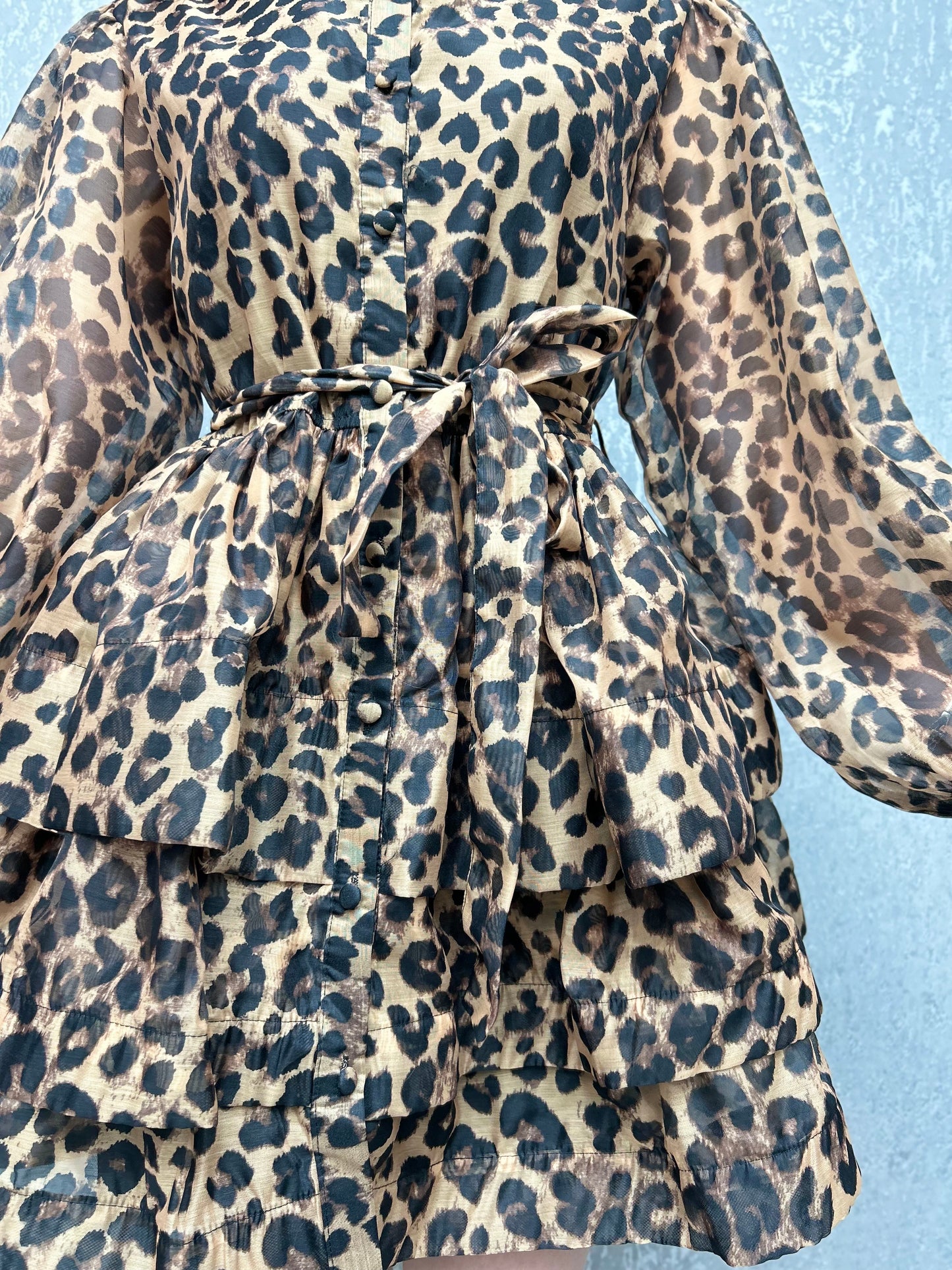 Leopard mini dress